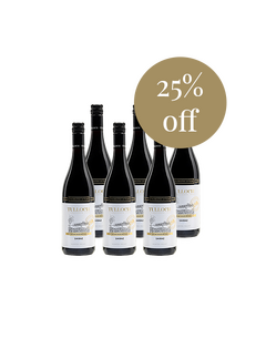 Limited Edition Shiraz 2017 July 6 Pack Special
