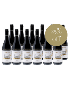 Limited Edition Shiraz 2023 March Dozen Special