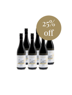 Limited Edition Shiraz 2017 November 6 Pack Special